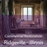 Commercial Restoration Ridgeville - Illinois
