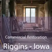 Commercial Restoration Riggins - Iowa