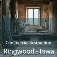 Commercial Restoration Ringwood - Iowa