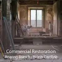 Commercial Restoration Roaring Branch - North Carolina