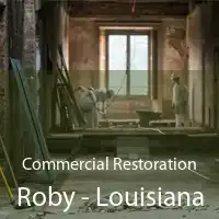 Commercial Restoration Roby - Louisiana