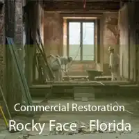 Commercial Restoration Rocky Face - Florida
