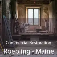 Commercial Restoration Roebling - Maine