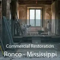 Commercial Restoration Ronco - Mississippi