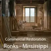 Commercial Restoration Ronks - Mississippi