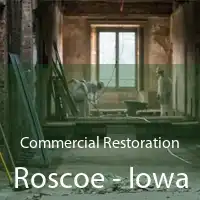 Commercial Restoration Roscoe - Iowa