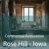 Commercial Restoration Rose Hill - Iowa
