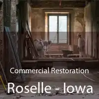 Commercial Restoration Roselle - Iowa