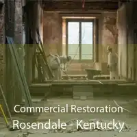 Commercial Restoration Rosendale - Kentucky