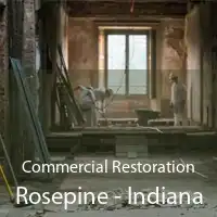 Commercial Restoration Rosepine - Indiana