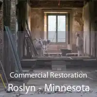 Commercial Restoration Roslyn - Minnesota