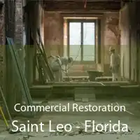 Commercial Restoration Saint Leo - Florida