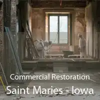 Commercial Restoration Saint Maries - Iowa