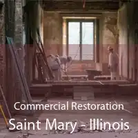 Commercial Restoration Saint Mary - Illinois