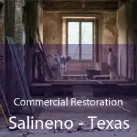 Commercial Restoration Salineno - Texas