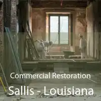 Commercial Restoration Sallis - Louisiana