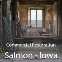 Commercial Restoration Salmon - Iowa