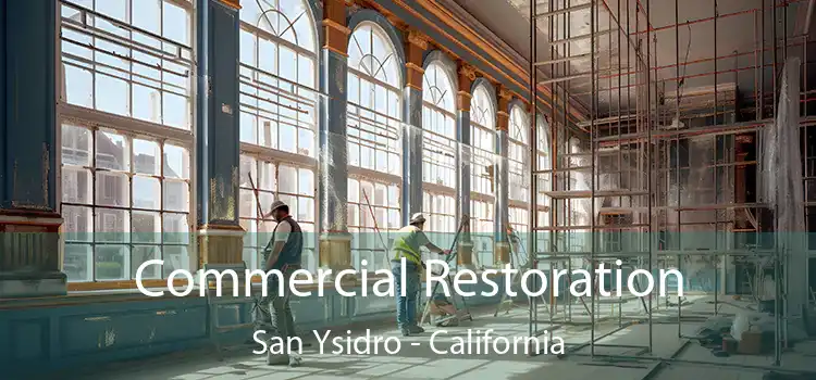 Commercial Restoration San Ysidro - California