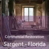 Commercial Restoration Sargent - Florida