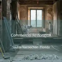 Commercial Restoration Sautee Nacoochee - Florida