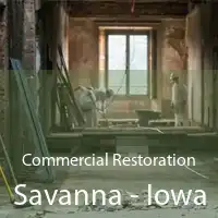 Commercial Restoration Savanna - Iowa