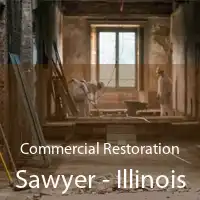 Commercial Restoration Sawyer - Illinois