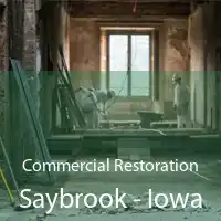 Commercial Restoration Saybrook - Iowa