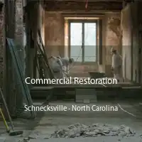 Commercial Restoration Schnecksville - North Carolina