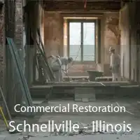 Commercial Restoration Schnellville - Illinois