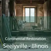 Commercial Restoration Seelyville - Illinois