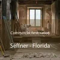 Commercial Restoration Seffner - Florida