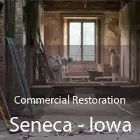Commercial Restoration Seneca - Iowa