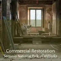 Commercial Restoration Sequoia National Park - California