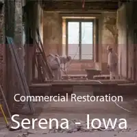 Commercial Restoration Serena - Iowa