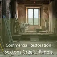 Commercial Restoration Sextons Creek - Illinois