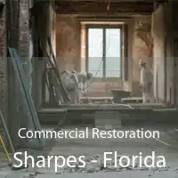 Commercial Restoration Sharpes - Florida