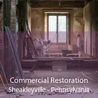 Commercial Restoration Sheakleyville - Pennsylvania