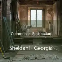 Commercial Restoration Sheldahl - Georgia