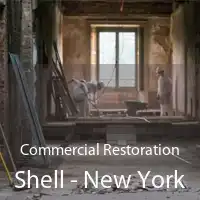 Commercial Restoration Shell - New York