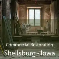 Commercial Restoration Shellsburg - Iowa