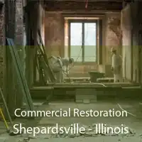 Commercial Restoration Shepardsville - Illinois