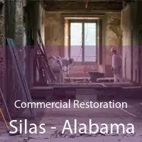 Commercial Restoration Silas - Alabama
