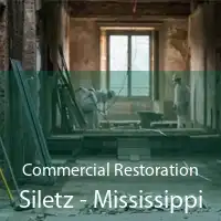 Commercial Restoration Siletz - Mississippi
