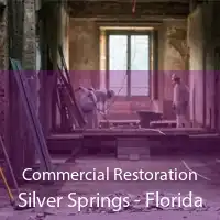 Commercial Restoration Silver Springs - Florida