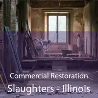 Commercial Restoration Slaughters - Illinois