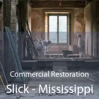 Commercial Restoration Slick - Mississippi