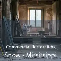 Commercial Restoration Snow - Mississippi