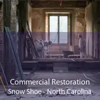 Commercial Restoration Snow Shoe - North Carolina