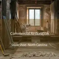 Commercial Restoration Snow Shoe - North Carolina