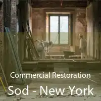Commercial Restoration Sod - New York